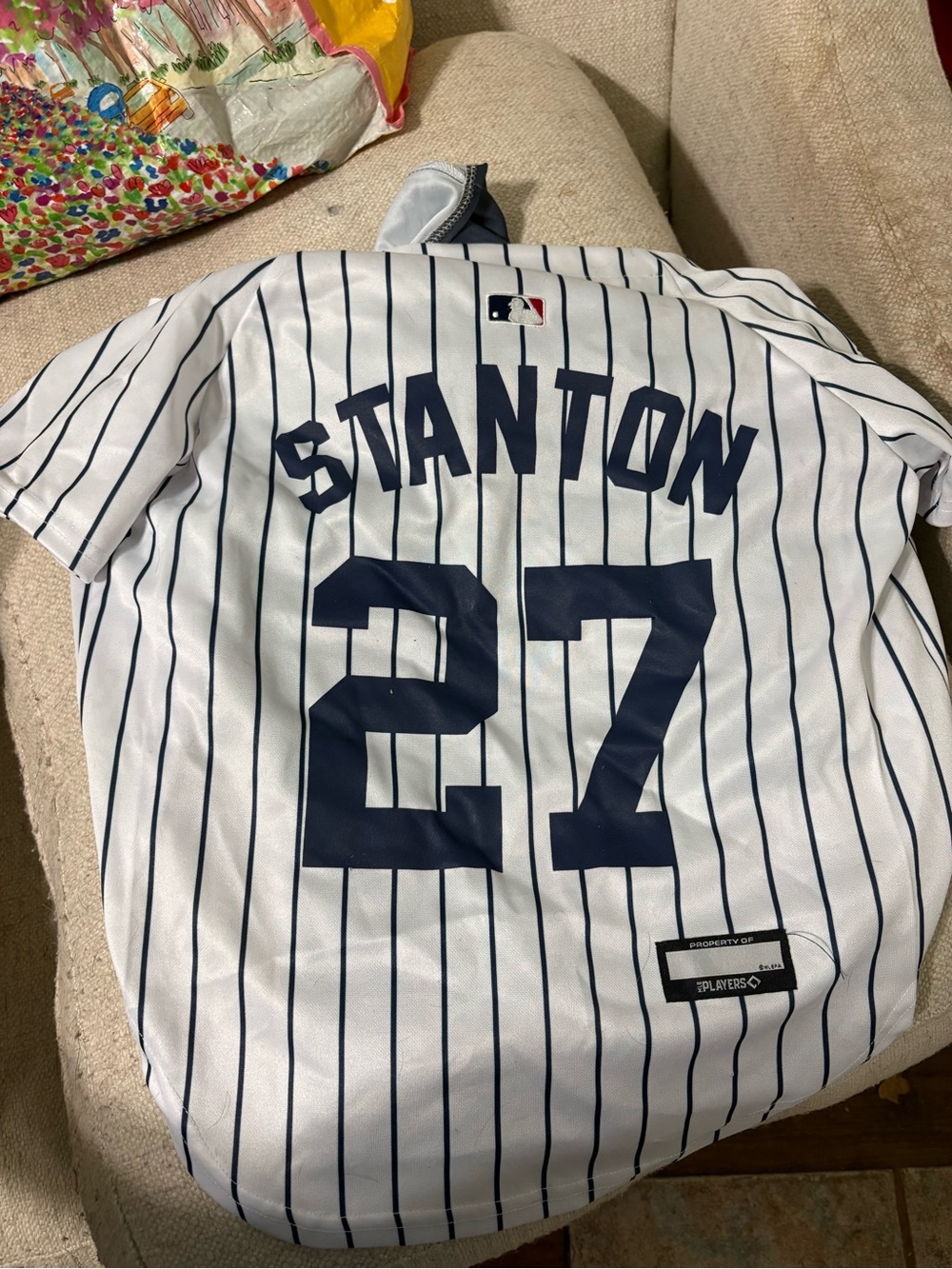 MLB New York YankeesGiancarlo Stanton #27 Pinstripe Dog Jersey in White and Navy
